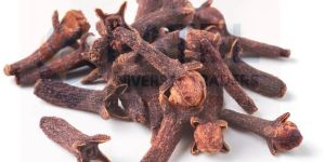 A Grade Dry Clove