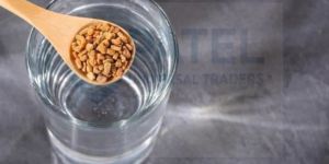 A Grade Fenugreek Seed