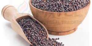 Black Mustard Seed