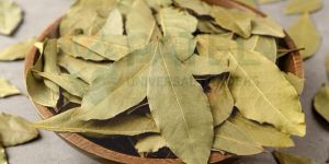 Dry Bay Leaves