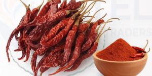 Dry Red Chilli