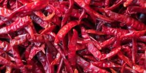 Red Chilli