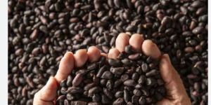 black salted peanuts