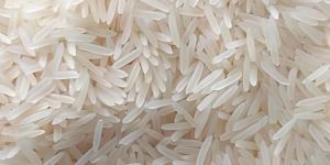 1121 Basmati Rice