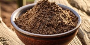 Cow Dung Powder