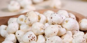 5 Suta Phool Makhana