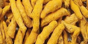 A Grade Turmeric Finger