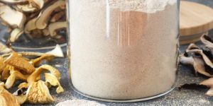 Dry Oyster Mushroom Powder