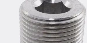 Stainless Steel Socket Head Pipe Plug