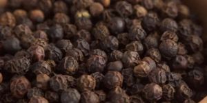 Black Pepper