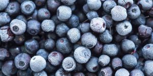 Natural Frozen Blueberries