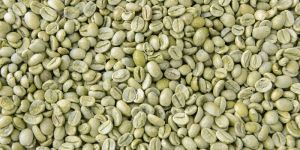 Green Coffee Beans