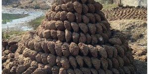 Organic Cow Dung Cake