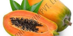 a Grade Fresh Papaya
