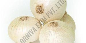 A Grade Fresh White Onion