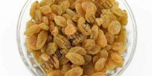 A Grade Golden Dried Raisin