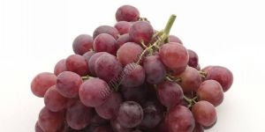 Fresh Dark Red Flame Grapes