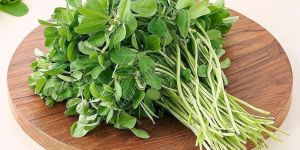 Fresh Fenugreek Methi Leaves