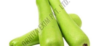 Fresh Long Bottle Gourd