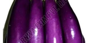 Long Purple Brinjal