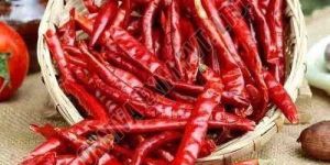 Red Guntur Sannam Dry Chilli