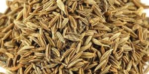 Whole Cumin Seeds
