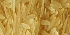 PR 14 Golden Sella Non Basmati Rice