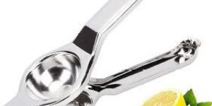 100 Gm Stainless Steel Lemon Squeezer