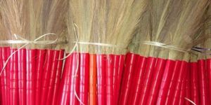 Grass Broom