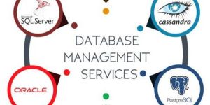 Database Support