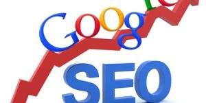Search Engine Optimization Services