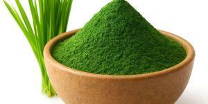 Spirulina Powder