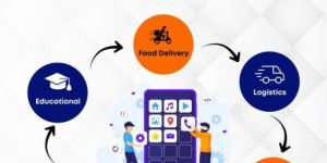 Software Development