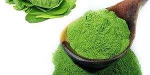 Organic Spinach Powder