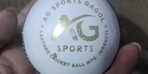 Leather Cricket Balls