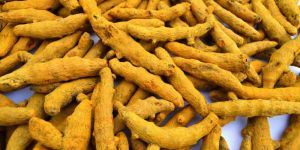 Dried Turmeric Finger