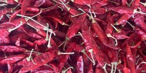 Teja Red Chilli