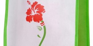 Printed Loop Handle Non Woven Bag