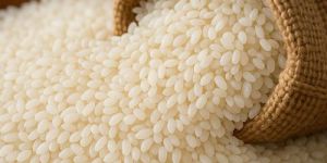 Short Grain Non Basmati Rice