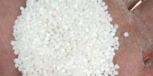 Polished Kodo Millet