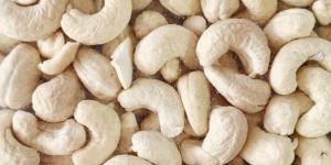 aw 1st cashew nut