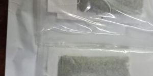 Moringa Dip Tea Bags