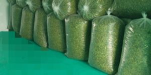 Organic Natural Dry Moringa Leaves
