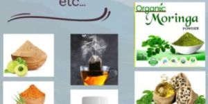 Moringa Oil