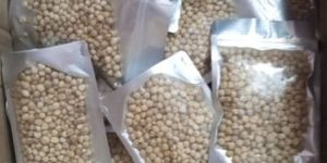 Moringa Seed Kernel
