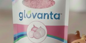 Dehydrated Minced Pink Onion