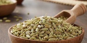 Fennel Seeds