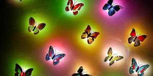 colour-full home decoration butterfly night lamp