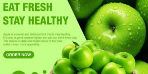 Digital Marketing Agency