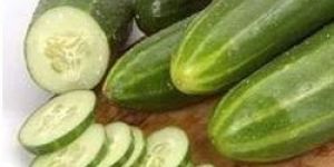 Fresh Cucumber